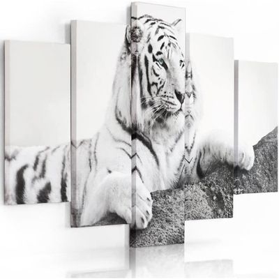 Feeby Impression Sur Toile Ours 70x50 cm Tableaux Tableau Mural Image Moderne Photo Décoration Murale Artistique Photographie Design Chambre Salon Cuisine Noir Et Blanc