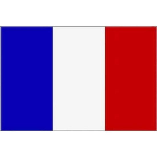 DRAPEAU DÉCORATIF Véritable Drapeau Francais
