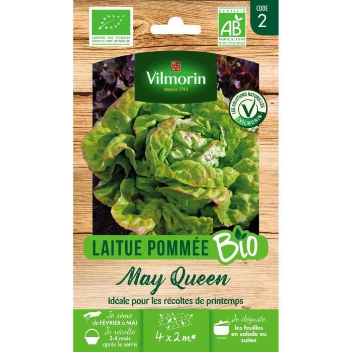 Laitue May Queen Vilmorin