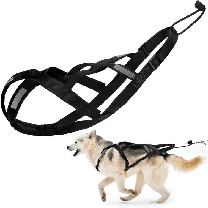 Meilleurs prix pour Harnais de Traction pour Chien en Nylon avec Bande réfléchissante   pour cani-VTT Ski attelé et traîneau (L)