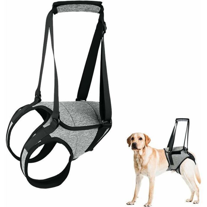 Harnais de soutien pour chien - ZVD - XL - Poignée de levage - Réglable - Tissu polyester - Confort optimal