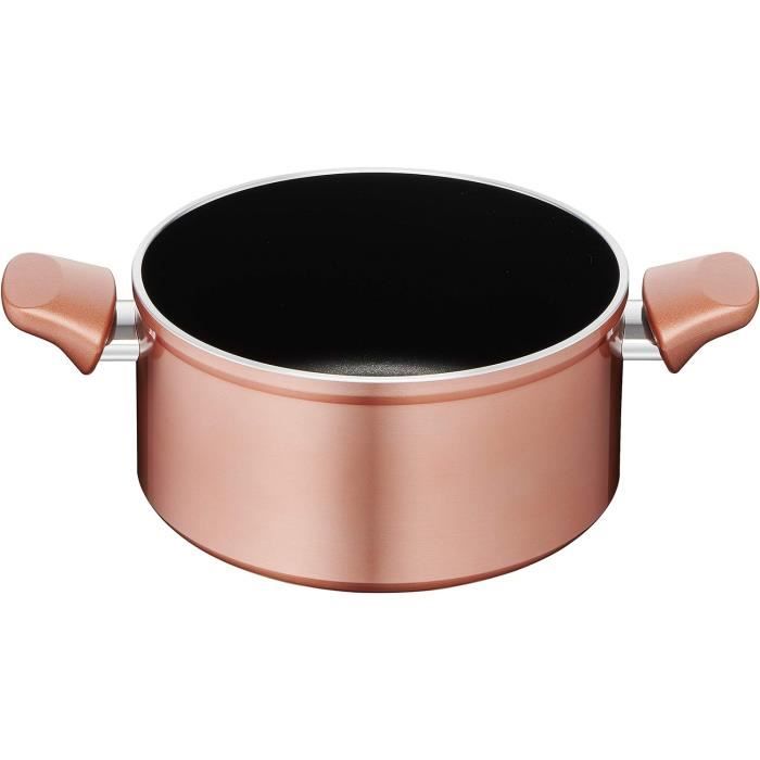lot de 6 casseroles et marmites de cuisine professionnelle