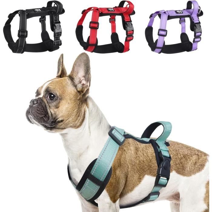 Harnais Pour Chien Vert Taille S \U2013 Harnais Réglable Réfléchissant AntiTraction Pour Chien