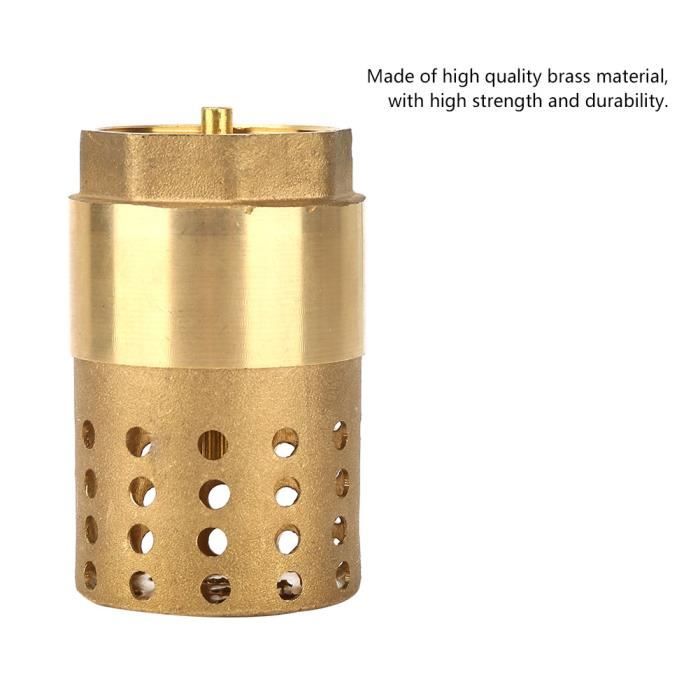 Clapet Anti-Retour En Laiton 2,5 Cm - Valve De Retour 1" IG/AG - Inoxydable Et Étanché Pour Pompe, Jardin, Machine à Laver