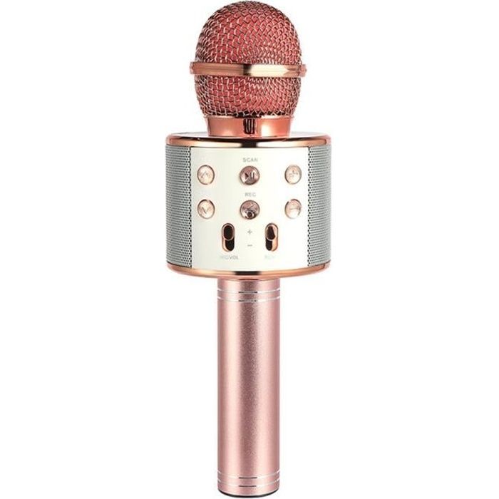 Microphone sans Fil Karaoké Bluetooth\/Micro Haut Parleur pour Enfants,  Adultes - Fêtes, Chansons, Idée Cadeau - Gris GRIS - Cdiscount Jeux - Jouets