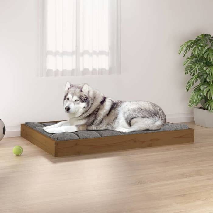 vidaXL Lit pour chien miel 1015x74x9 cm Bois de pin solide820869