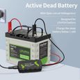 Chargeurs De Batterie Pour Auto - Chargeur Lithium Lifepo4 12v Roypow Mainteneur D entretien Pince Borne À Anneau-1