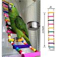 jouets pour oiseaux pour perroquet, échelle, balançoire, dressage pont arc-en-ciel pour perroquets, perruches, conures, cokatoo-1