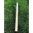 Piquet de clôture, Poteau en bois de marronnier - rond, écorcé et pointu d'un côté, Hauteur: 90 cm-1