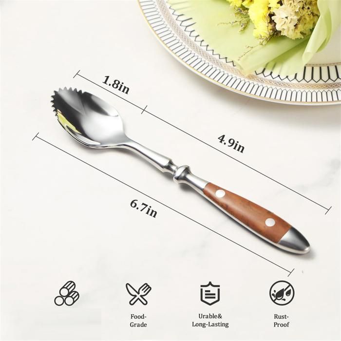 Lot de 4 cuillères à pamplemousse inox