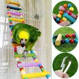 jouets pour oiseaux pour perroquet, échelle, balançoire, dressage pont arc-en-ciel pour perroquets, perruches, conures, cokatoo-3