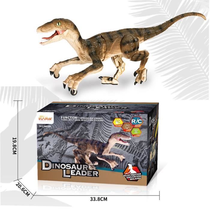 marque generique - Télécommande Dinosaure Jouet pour 5 Ans Garçon - Maisons  de poupées - Rue du Commerce