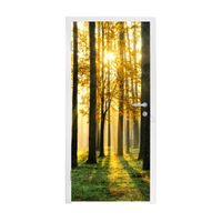 Poster de Porte - MuchoWow - 80x215 cm - Forêt Soleil Arbres Herbe Paysage Nature - Multicolore