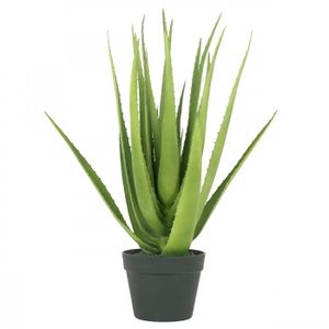 FLEUR ARTIFICIELLE Aloe vera artificiel 60cm