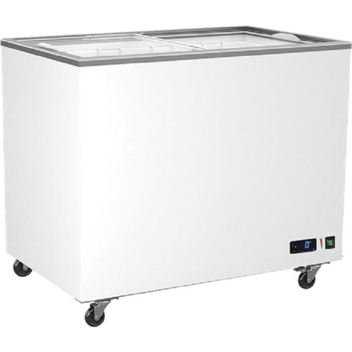 Congélateur Vitrées Portes Coulissantes - 208 à 640 Litres - Virtus
