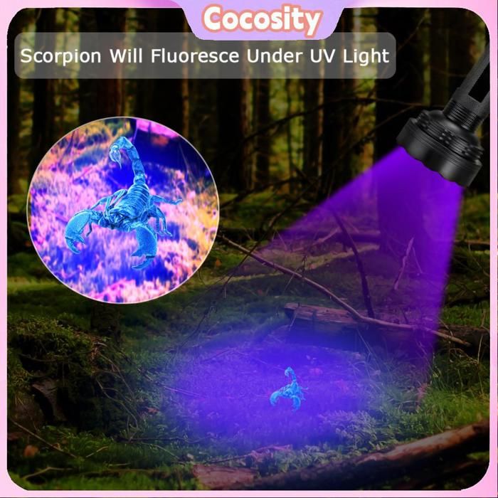 Cocosity Lampe de poche UV Cocosity Lampe de poche Lampe torche ultraviolette à lumière UV noire à 100 LED avec jardin torche