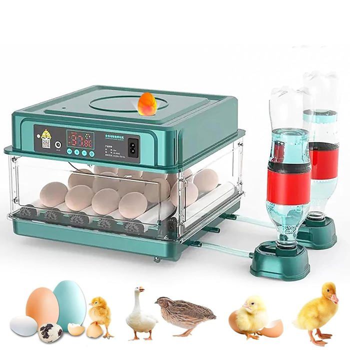 NEWFUN Incubateur Œufs Automatique 24 Œufs – Écran Tactile, Rotation Auto, Humidification Ultrasonique, Contrôle Précis Température & Humidité