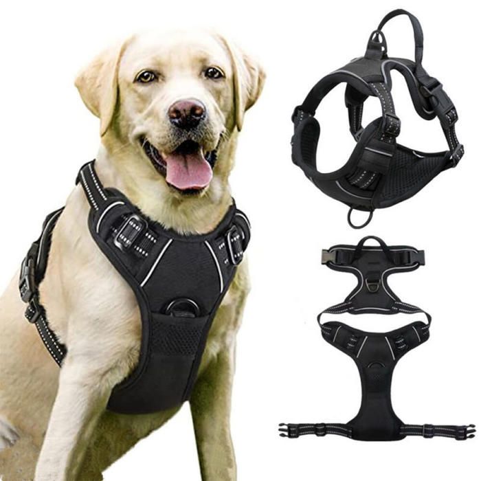 Harnais pour chien - KZQ - Anti-traction - Réglable - Confortable - Noir