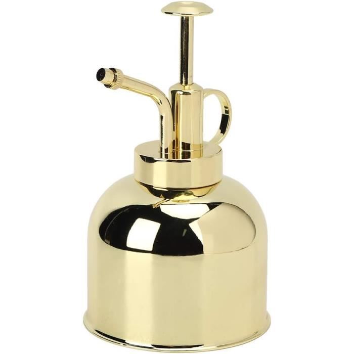 LianShi Pulvérisateur Plantes Acier Inoxydable 0.3L - Arrosoir Miniature Design Rétro - Pour Plantes Intérieur