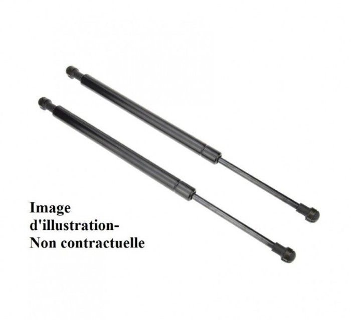 Lot de DEUX Vérins de Hayon-Coffre à Bagages pour CITROEN C4 1.6 HDI 90 11-2004-07-2011
