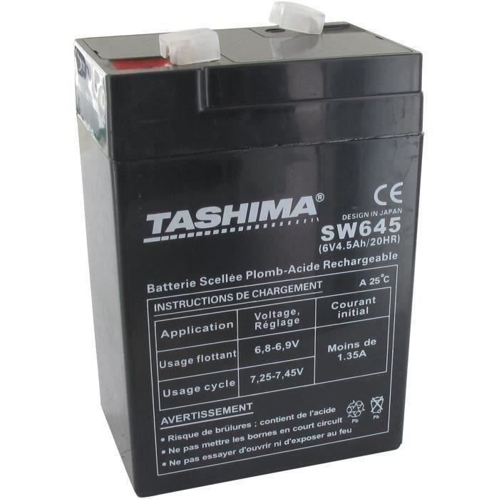 Batterie Au Plomb-gel Fiamm 6V 4.5Ah - Technologie AGM Sans Entretien - Pour Alarmes, éclairage De Secours, Jouets électriques