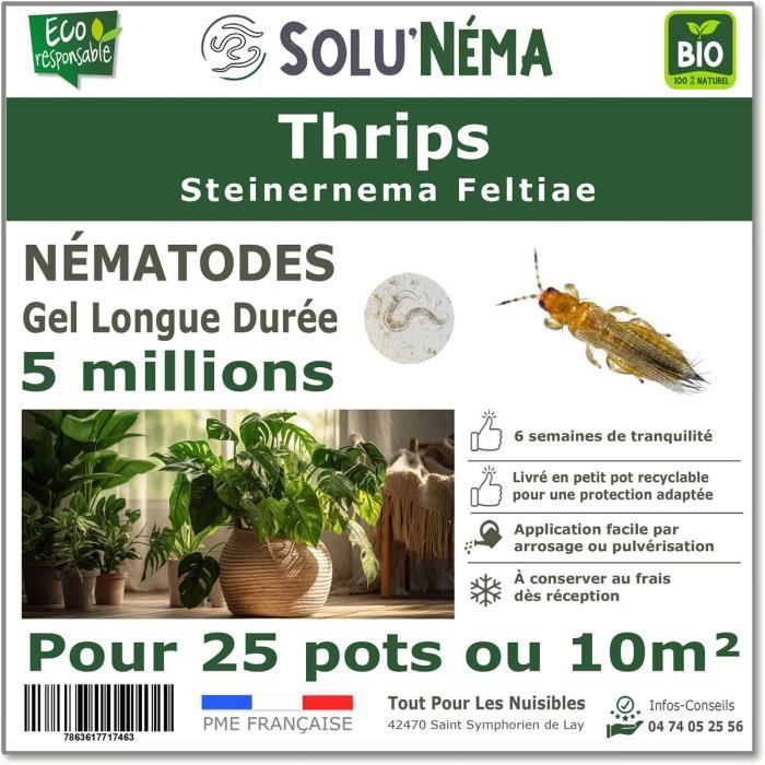 SOLUNEMA - Nématodes SF - Thrips - 5 millions pour 20 à 25 pots soit environ 10m²
