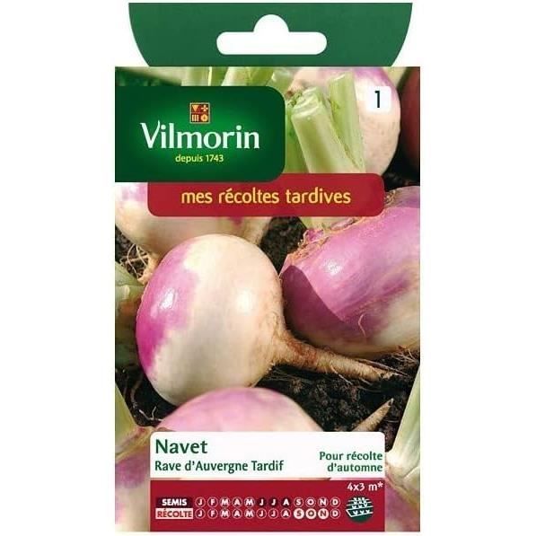 Graines De Navet Rave D'Auvergne Tardive - Sachet De 150 Graines - Légume Ancien Facile à Cultiver, Récolte De Mai à Novembre - Pour Potager Et Jardin