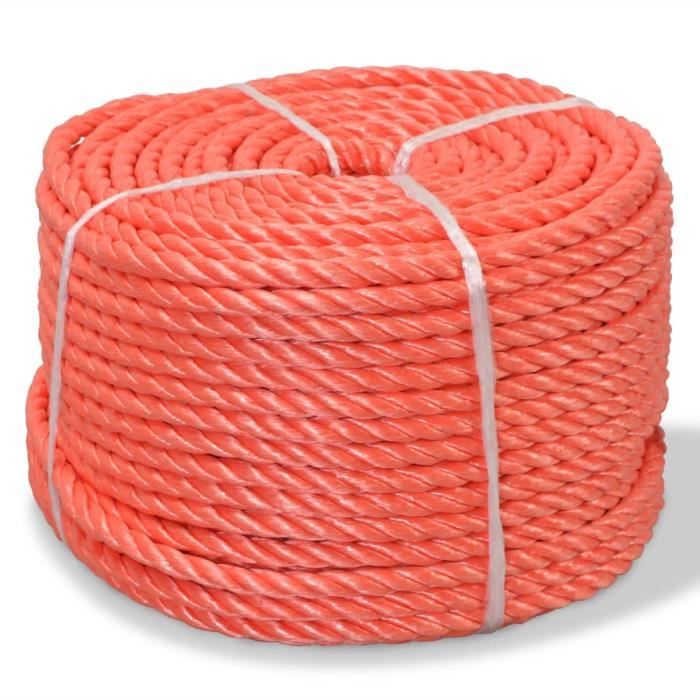 Vidaxl Corde torsadée Polypropylène 10 mm 500 m