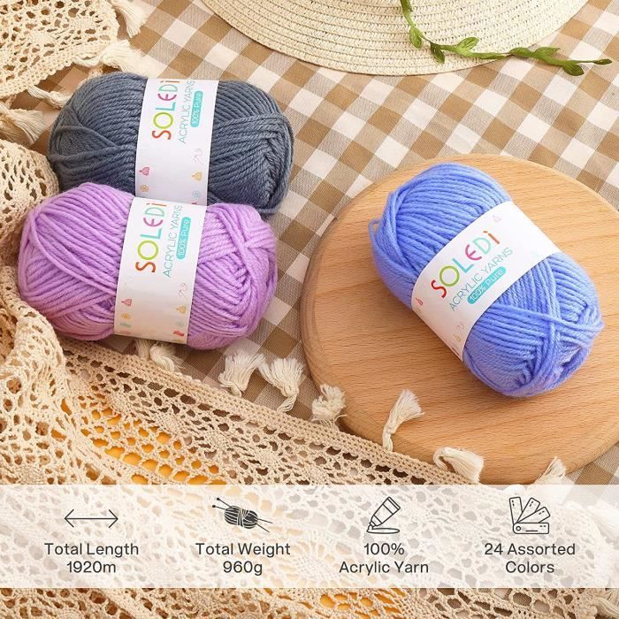 Pelotes de Laine a Tricoter Laine Crochet Pas Cher et Qualité Supérieure  Avec 2 Crochets et Sac de Rangement Réutilisable 24 1 - Cdiscount  Beaux-Arts et Loisirs créatifs