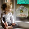 Mangeoire à oiseaux pour fenêtre Mangeoire en acrylique transparent en forme de maison étanche à ventouse extérieure-3