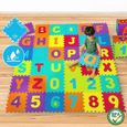 Puzzle pour Enfant - Mousse EVA, Alphabet et Chiffres, 86 Pièces, 3,57 m2 - Tapis de Jeu, Dalles en Mousse, Tapis de Sol-0
