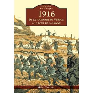 LIVRE HISTOIRE FRANCE Livre - 1916 ; de la fournaise de Verdun à la boue