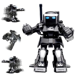 Garçon Jouant Le Robot De Combat De Bataille Avec à Télécommande Photo  stock - Image du action, protégez: 95317366
