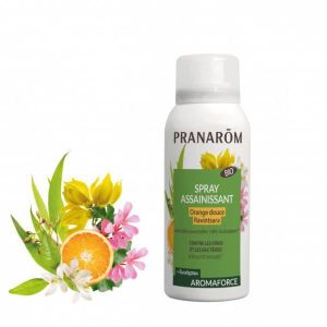 DÉSODORISANT INTÉRIEUR Pranarom Aromaforce Spray Assainissant Ravintsara Orange Douce Bio 75ml