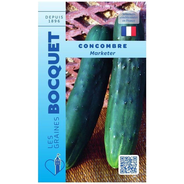Graine - Semence - Concombre Marketer