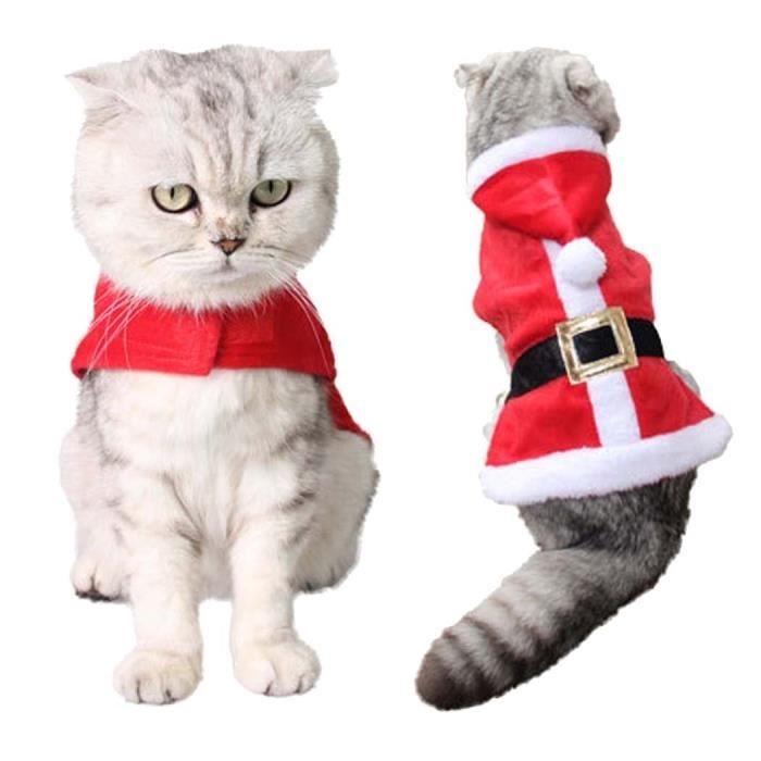 Vetement noel 2025 chat