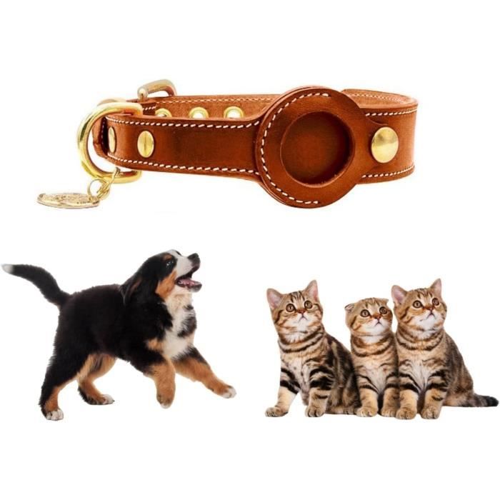 Collier pour chien et chat - C011 main image 1