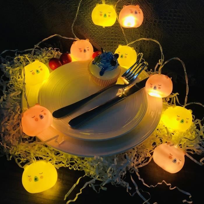 Veilleuse guirlande lumineuse à LED avec pinces pour photos • Veilleuse