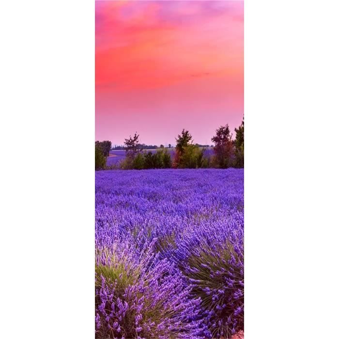 Stickers De Porte Autocollants De Porte 3D Animaux De Poissons Colorés