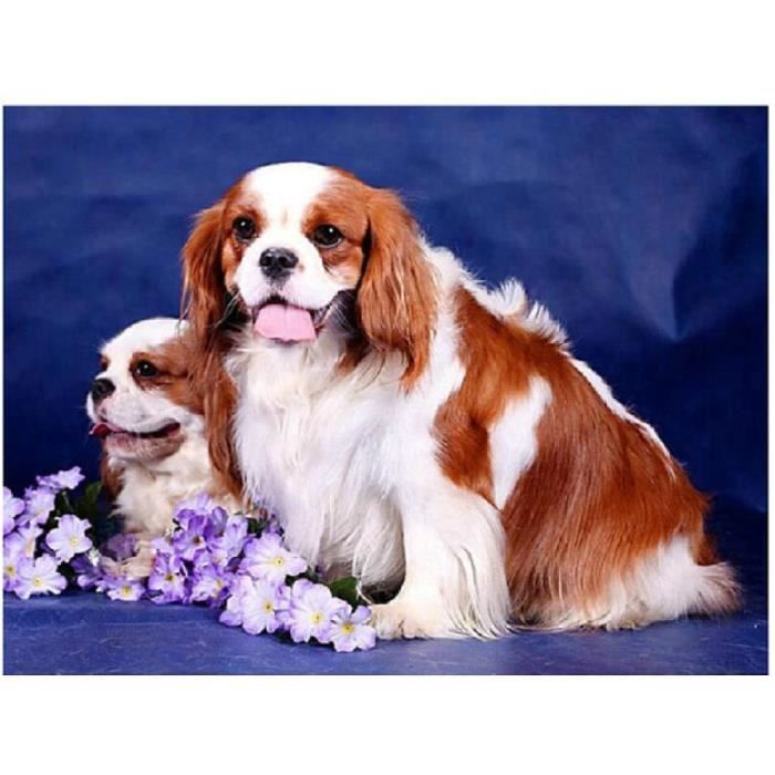 Les produits shopeco.fr