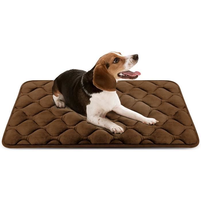 BedDog Panier chien - Coussin Chien - Tapis Chien Grande Taille - Panier  pour Chien - Lit pour Chien Grande Taille - Paniers et Mobilier pour Chiens  - Corbeille Chien en Microfibre