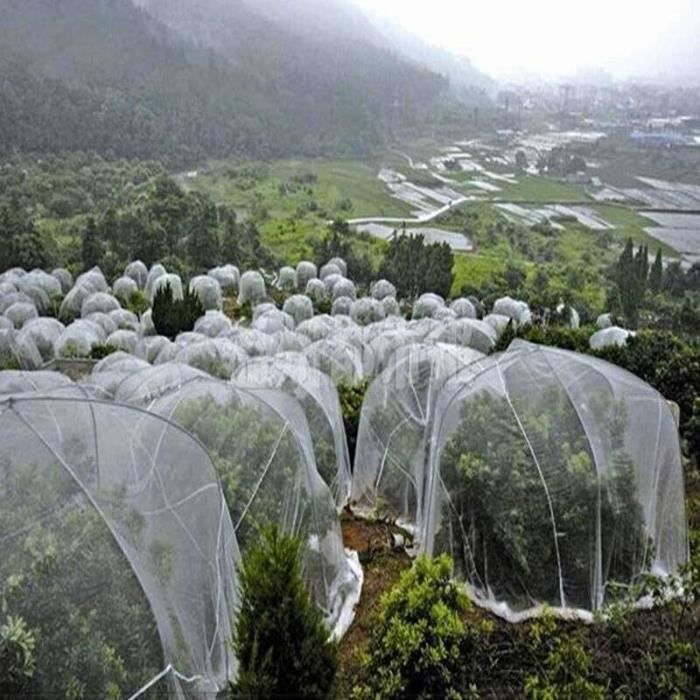 Filet Anti-insectes Pour Jardin 2,5 X 5 M - Maille Fine Protection Plantes, Légumes, Fruits, Contre Oiseaux Et Parasites