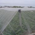 CH11218-Filet anti insectes 5m 80Mesh pour arbres fruitiers. couverture de Protection des plantes. filet en Nylon PE. moustiquaire-1