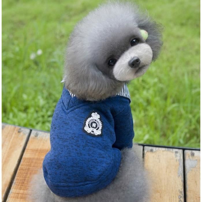 Pull pour petit chien on sale