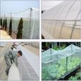 CH11218-Filet anti insectes 5m 80Mesh pour arbres fruitiers. couverture de Protection des plantes. filet en Nylon PE. moustiquaire-3