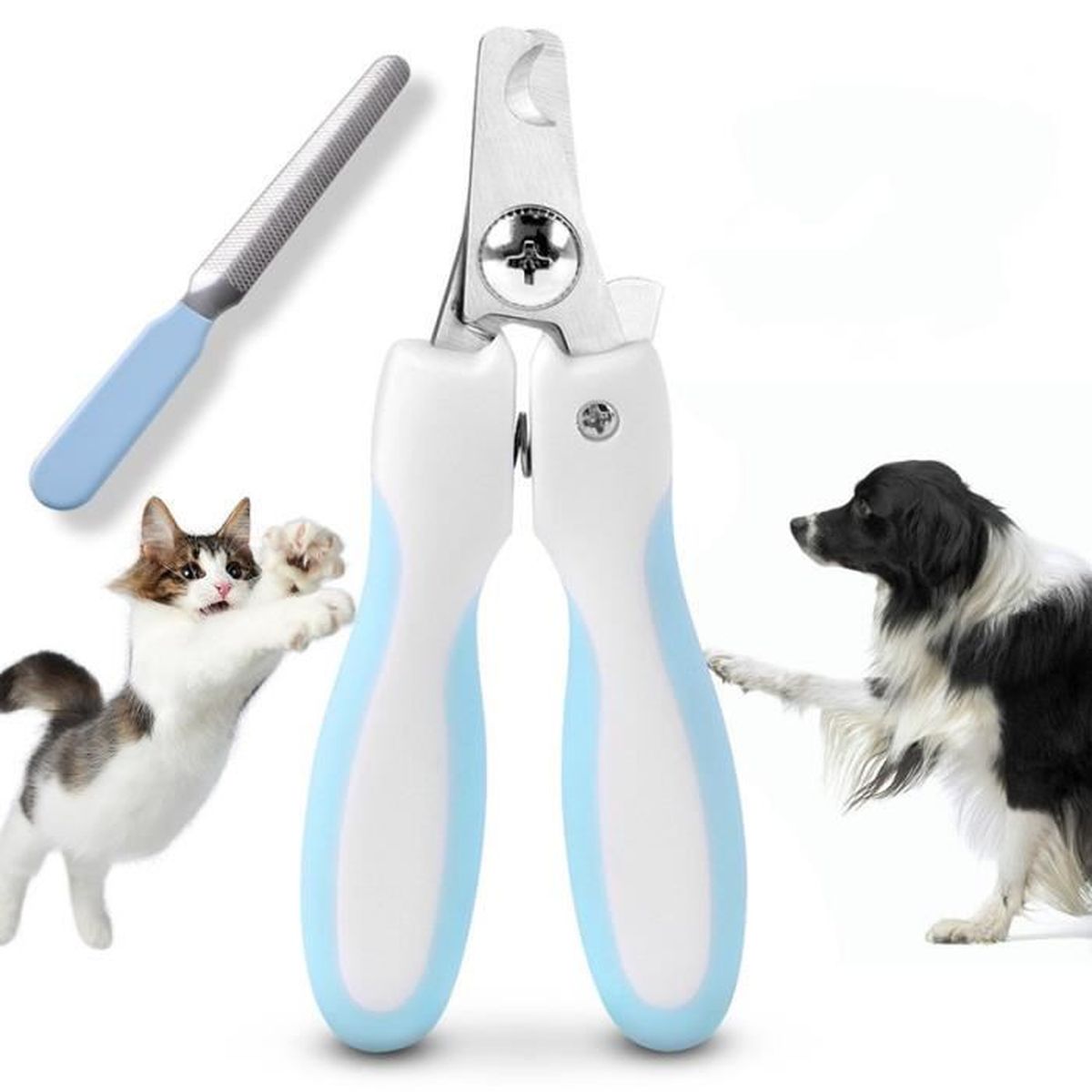 Coupe Ongles Chiens Coupe Griffe Avec Limite De Sécurité Lime à Griffes Incluse Bleu