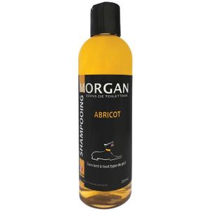SHAMPOING - MASQUE Shampoing protéiné à l'abricot Morgan : 250ml - MO