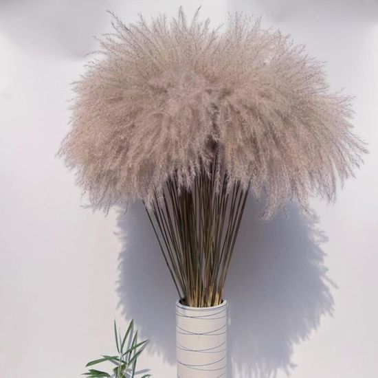 YLREAN Lot De 5 Grandes Fleurs Séchées Naturelles En Herbe Duveteuse De 110 à 120 Cm Pour Décoration De Mariage, Bouquet De Fleurs, Arrangement Cadeau, Blanc