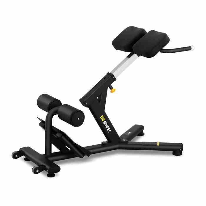 Appareil De Musculation Du Dos Abdominaux Fitness Gainage Banc Hyper Extension
