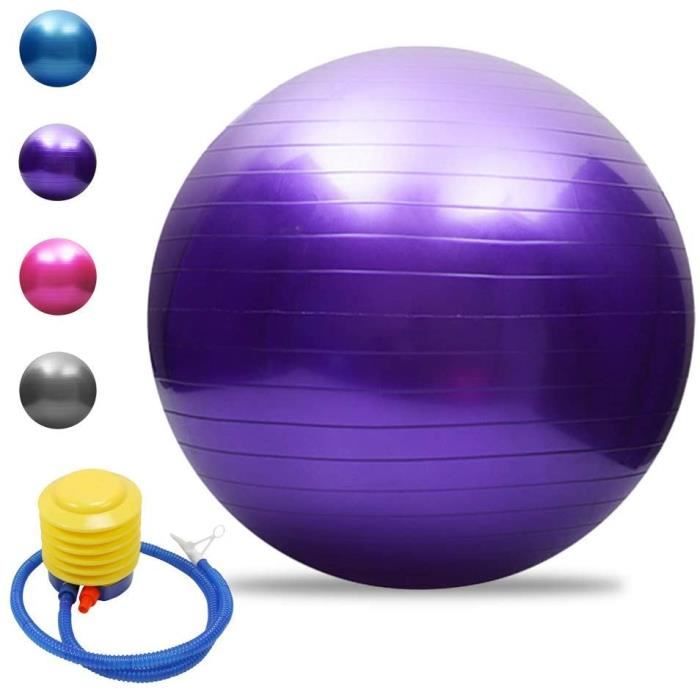Balle de yoga Balle d'équilibre Pilates Barre de gymnastique physique Balle d'exercice physique 65 cm Violet